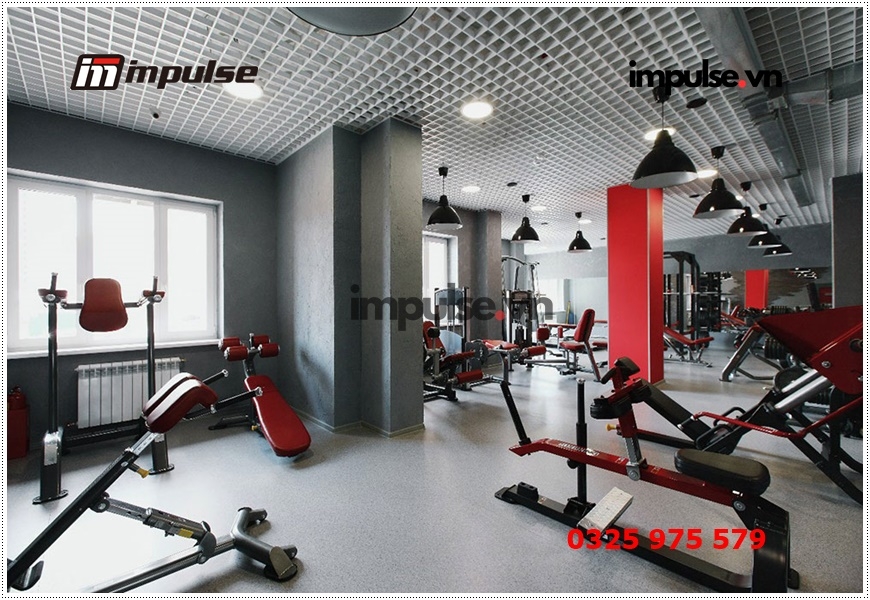 Xe đạp tập impulse chính hãng